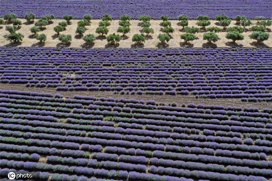 ICphoto(qun)ƷՈD(zhun)d