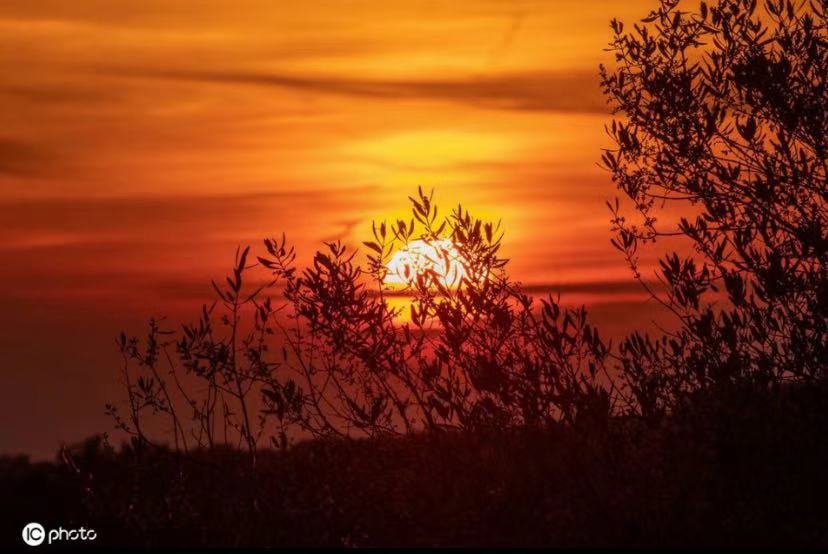 ICPhoto(qun)ƷՈD(zhun)d