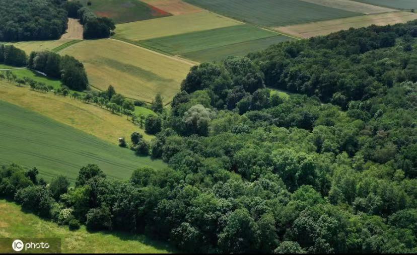 ICPhoto(qun)ƷՈ(qng)D(zhun)d