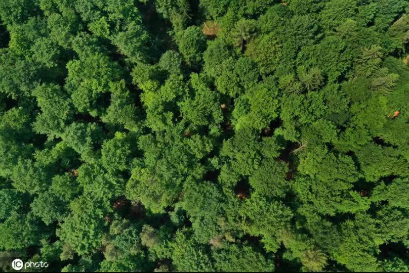 ICPhoto(qun)ƷՈD(zhun)d