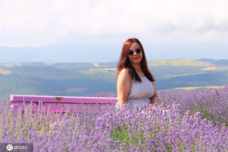 ICPhoto(qun)ƷՈD(zhun)d