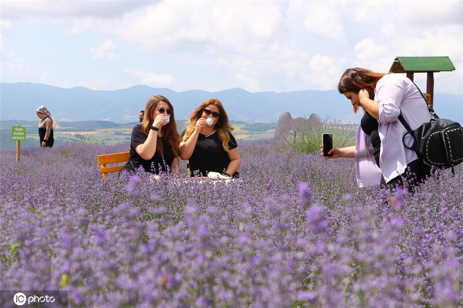 ICPhoto(qun)ƷՈD(zhun)d