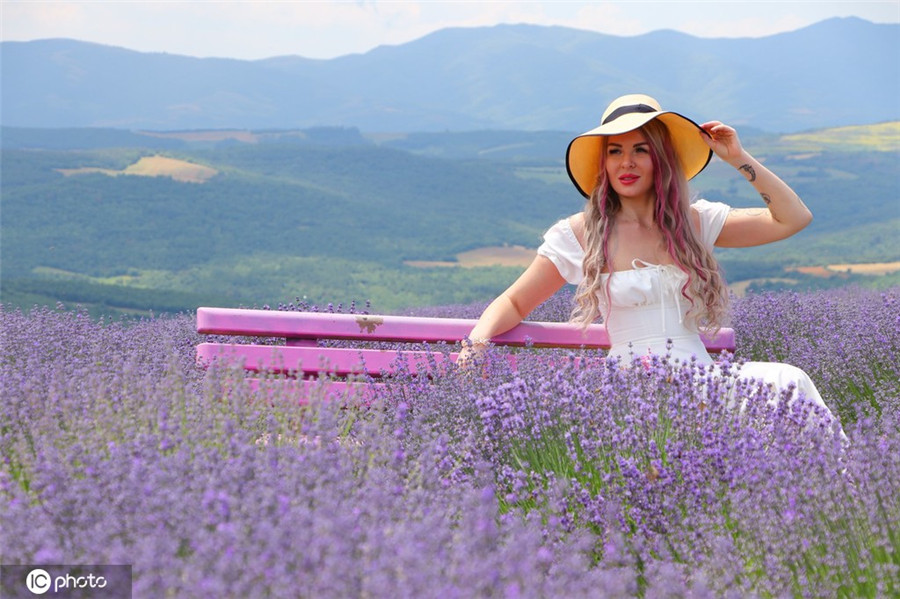 ICPhoto(qun)ƷՈ(qng)D(zhun)d