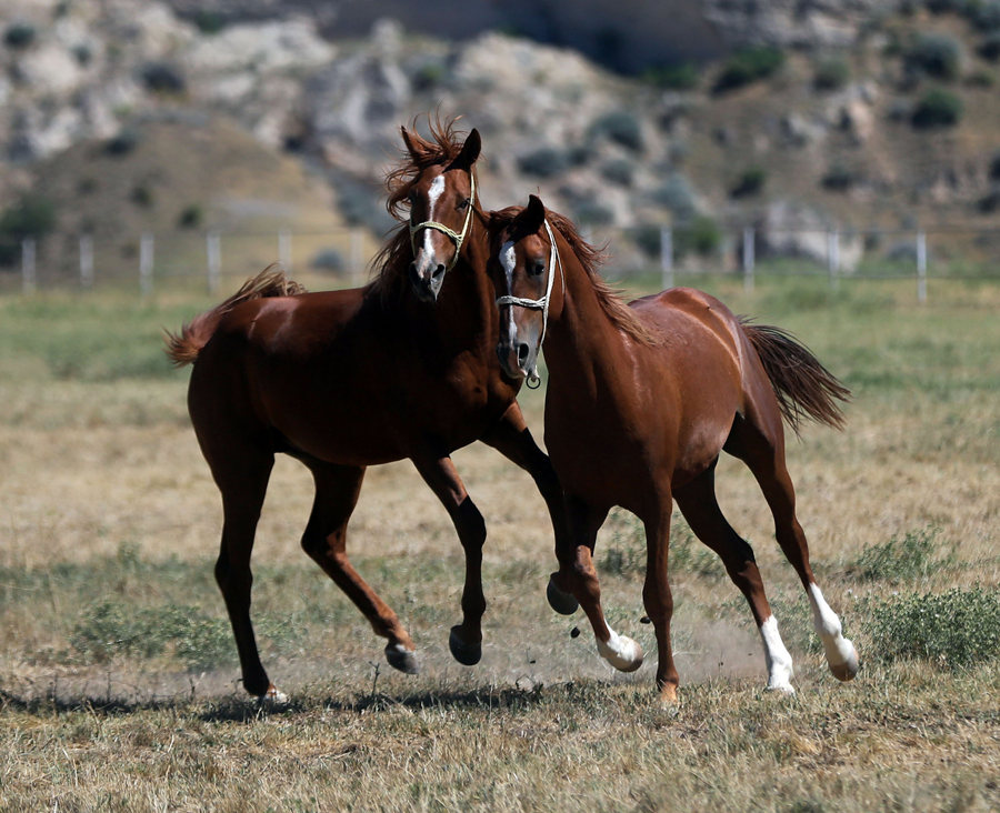 ҕX(ju)Ї(gu)(qun)ƷՈ(qng)D(zhun)d