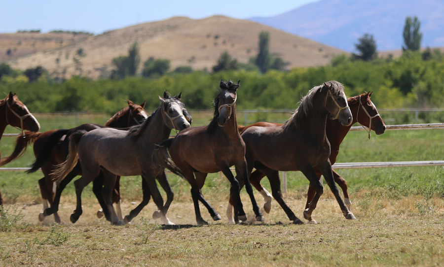 ҕXЇ(qun)ƷՈ(qng)D(zhun)d