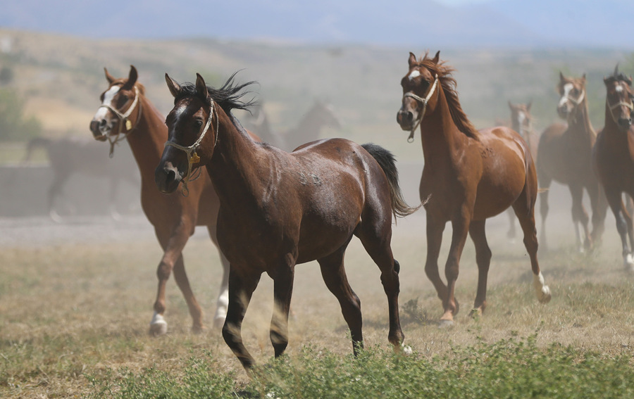 ҕX(ju)Ї(gu)(qun)ƷՈ(qng)D(zhun)d