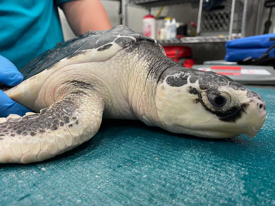 ҕXЇ(qun)ƷՈD(zhun)d