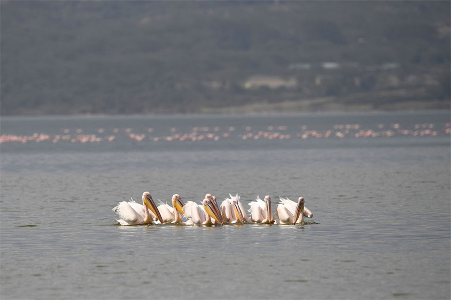 ҕXЇ(qun)ƷՈD(zhun)d