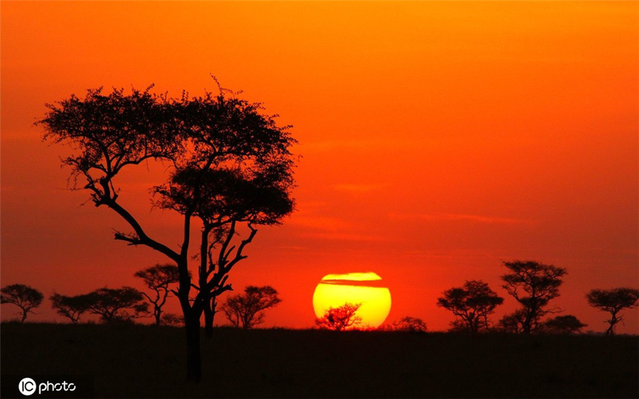 ICPhotoƷՈD(zhun)d