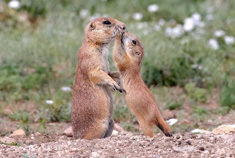 ҕX(ju)Ї(gu)(qun)ƷՈ(qng)D(zhun)d