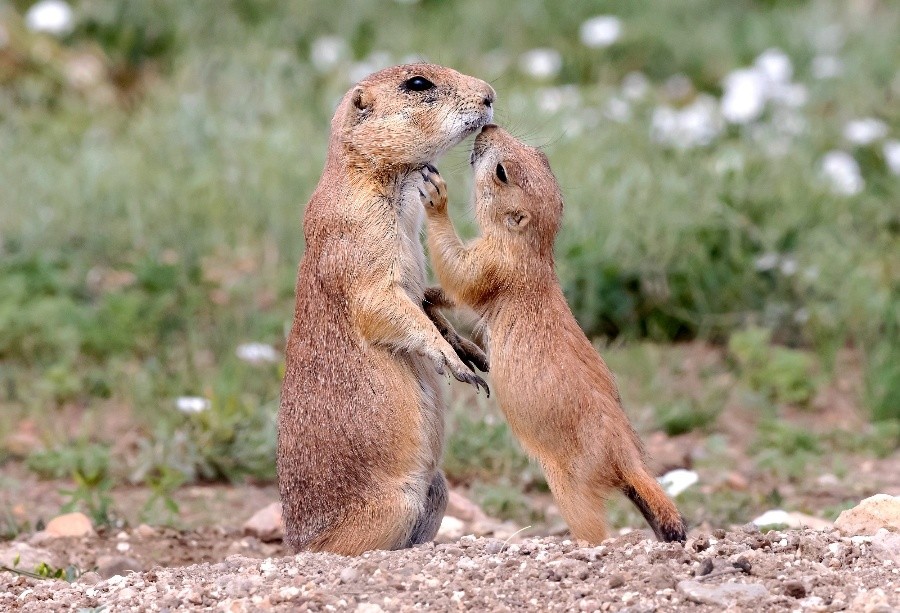 ҕXЇ(qun)ƷՈD(zhun)d