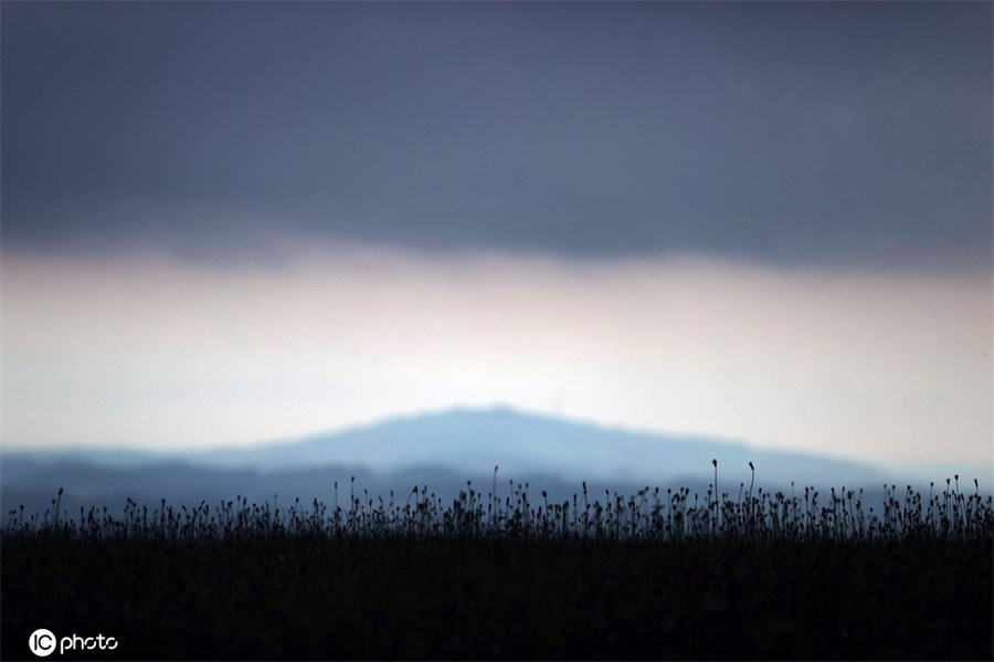 ICPhoto(qun)ƷՈD(zhun)d