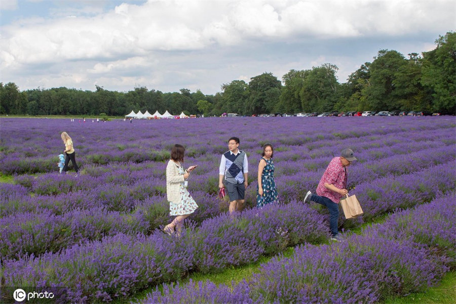 ICPhoto(qun)ƷՈ(qng)D(zhun)d