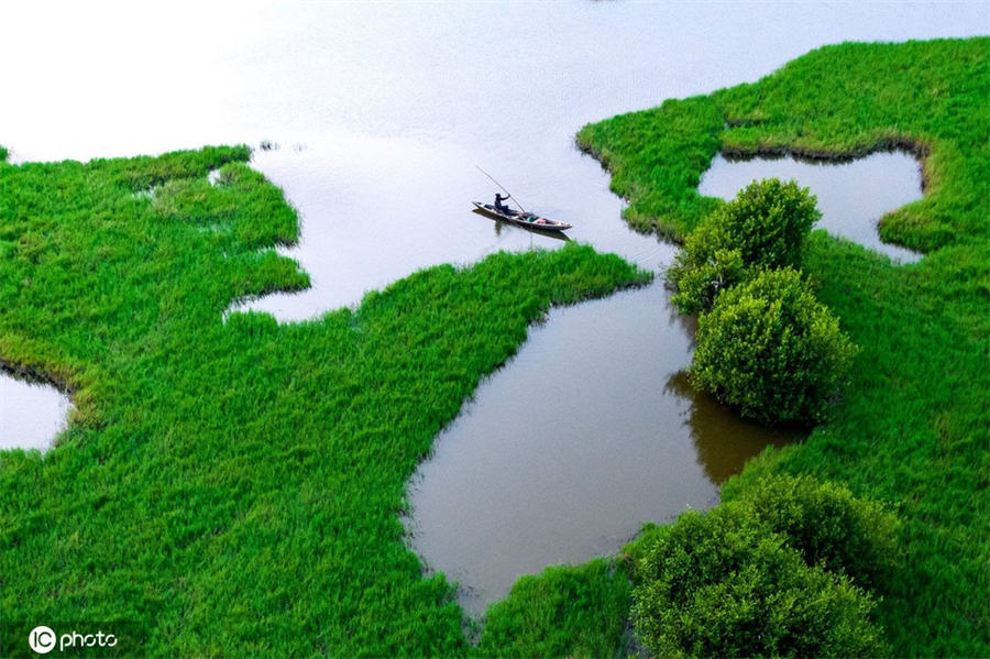 ICPhoto(qun)ƷՈ(qng)D(zhun)d