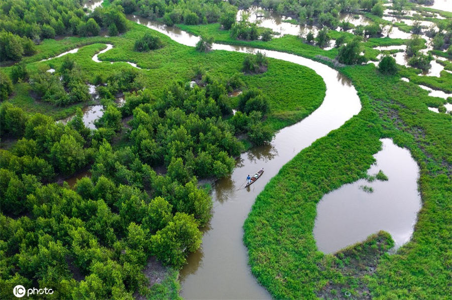 ICPhoto(qun)ƷՈD(zhun)d