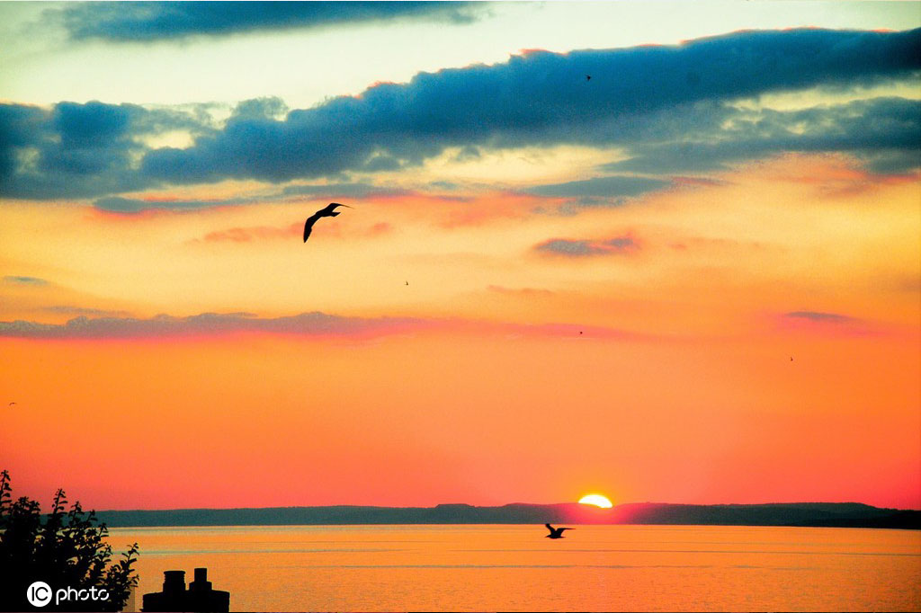 ICPhoto(qun)ƷՈD(zhun)d