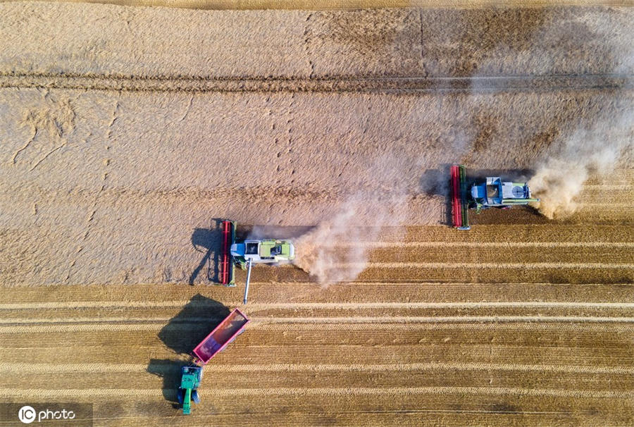 ICPhoto(qun)ƷՈ(qng)D(zhun)d