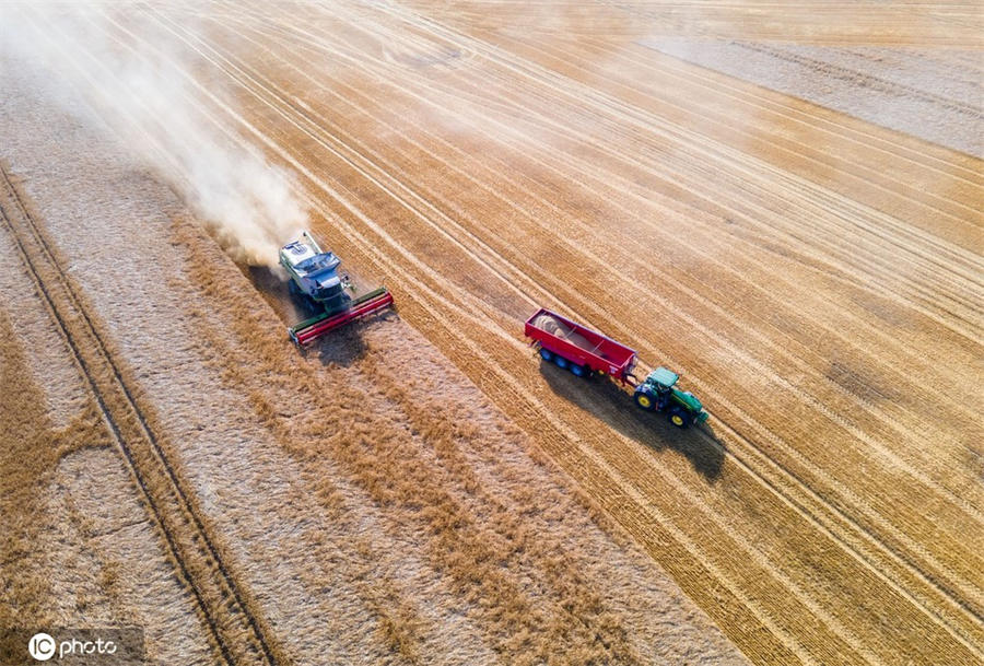 ICPhoto(qun)ƷՈD(zhun)d