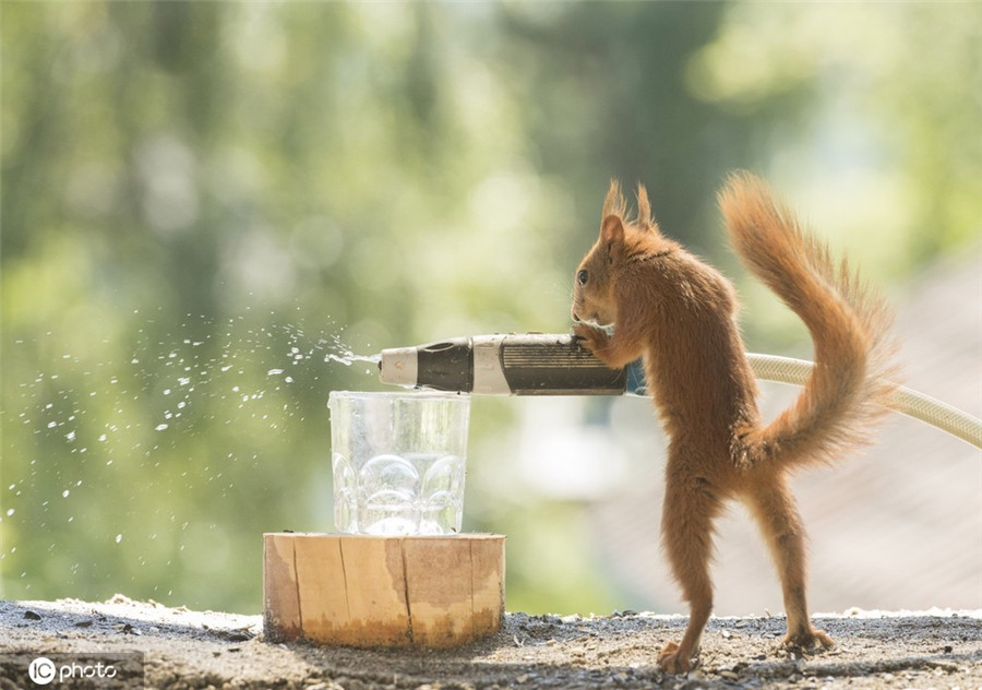 ICPhoto(qun)ƷՈ(qng)D(zhun)d