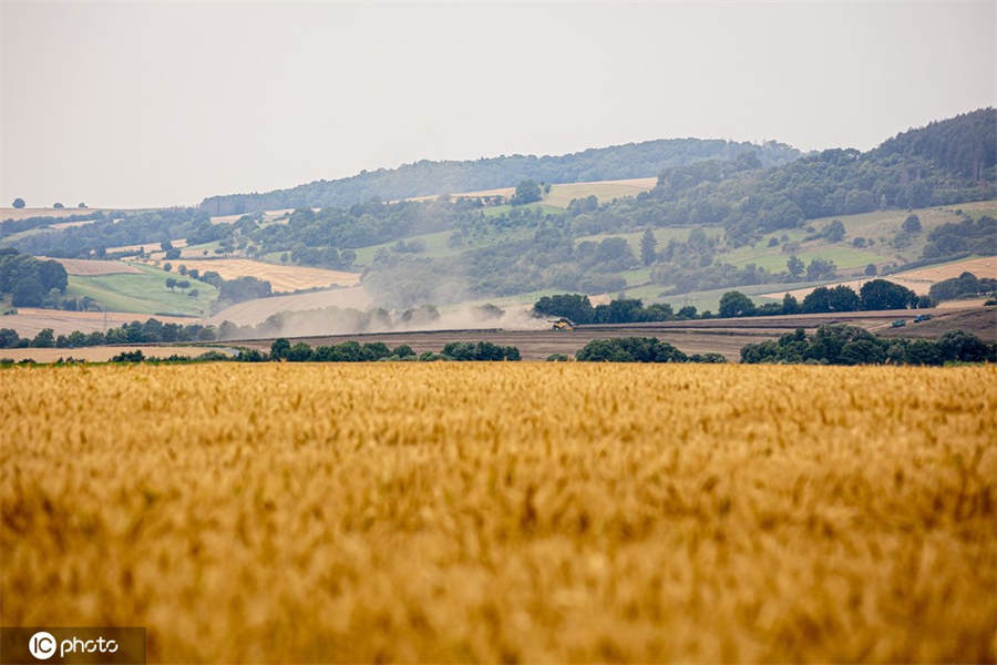 ICPhoto(qun)ƷՈD(zhun)d