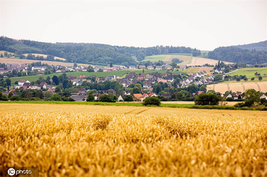 ICPhoto(qun)ƷՈD(zhun)d