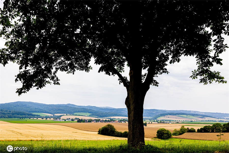 ICPhoto(qun)ƷՈD(zhun)d