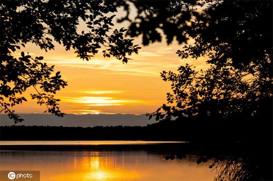 ICPhoto(qun)ƷՈ(qng)D(zhun)d