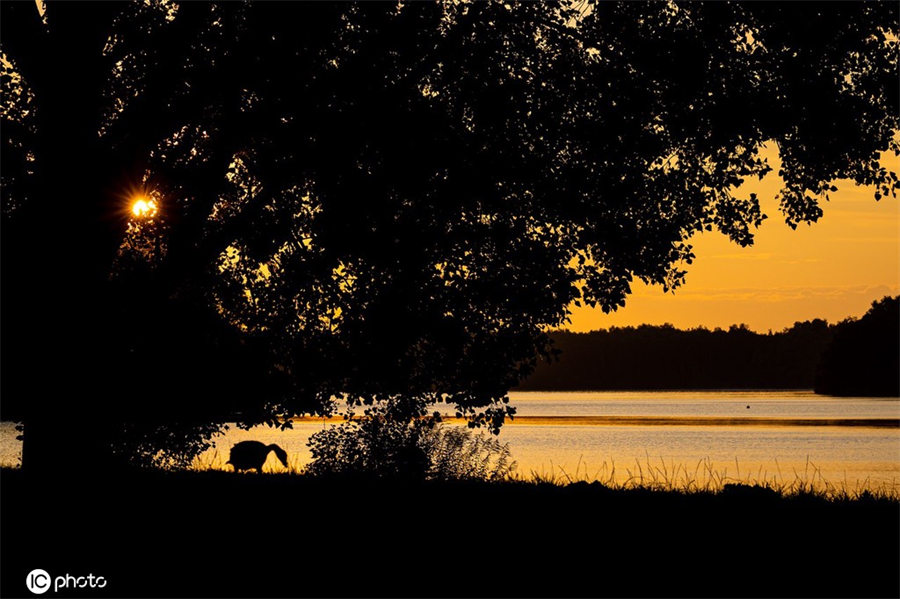 ICPhoto(qun)ƷՈ(qng)D(zhun)d