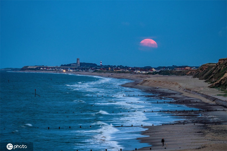 ICPhoto(qun)ƷՈ(qng)D(zhun)d