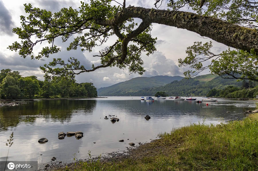 ICPhoto(qun)ƷՈD(zhun)d