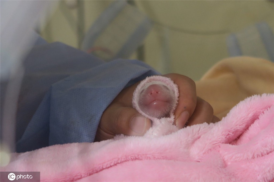 IC photoƷՈD(zhun)d