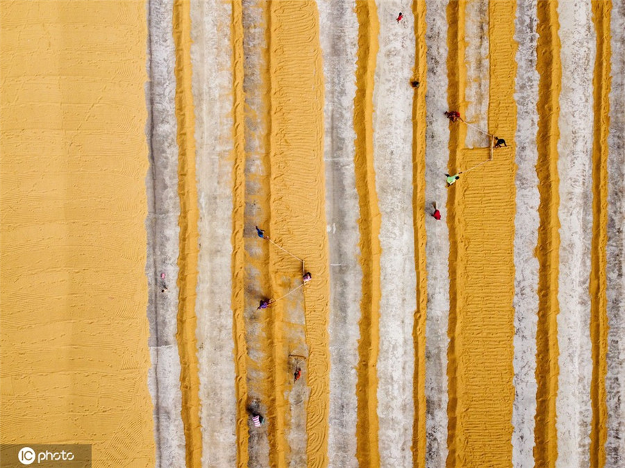 IC photo(qun)ƷՈD(zhun)d