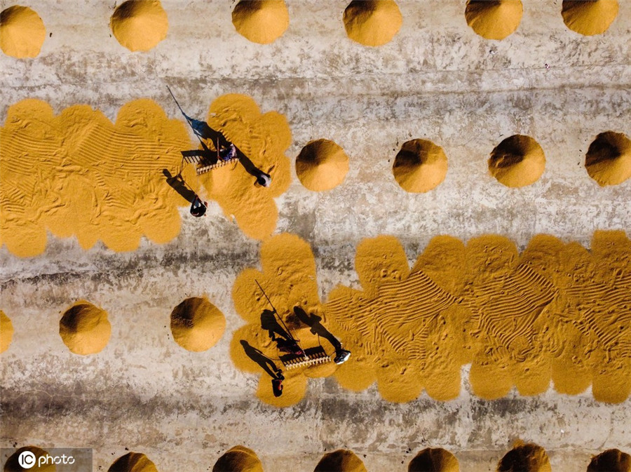 IC photo(qun)ƷՈD(zhun)d