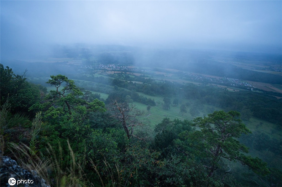 IC photo(qun)ƷՈD(zhun)d