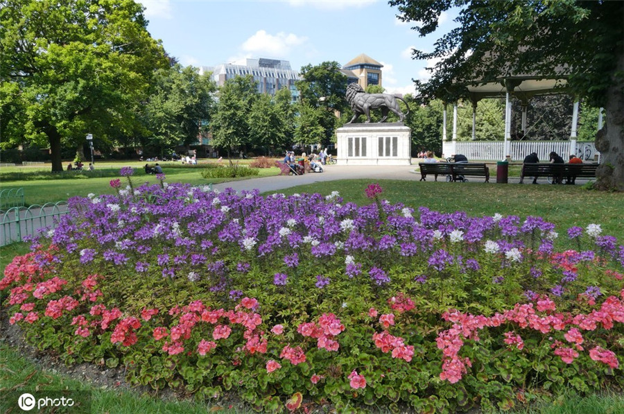 IC photo(qun)ƷՈD(zhun)d