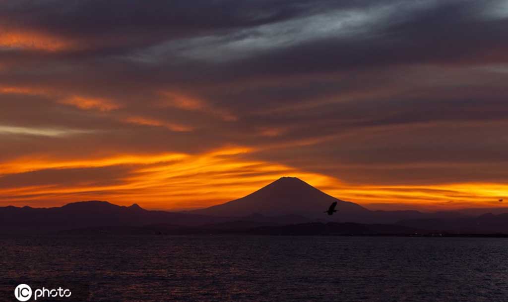 IC photo(qun)ƷՈ(qng)D(zhun)d