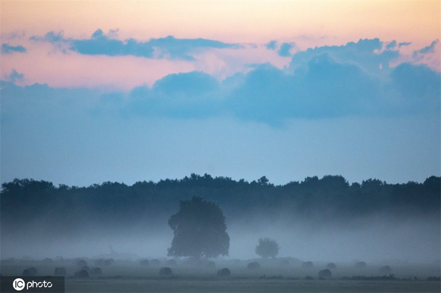 IC photo(qun)ƷՈ(qng)D(zhun)d