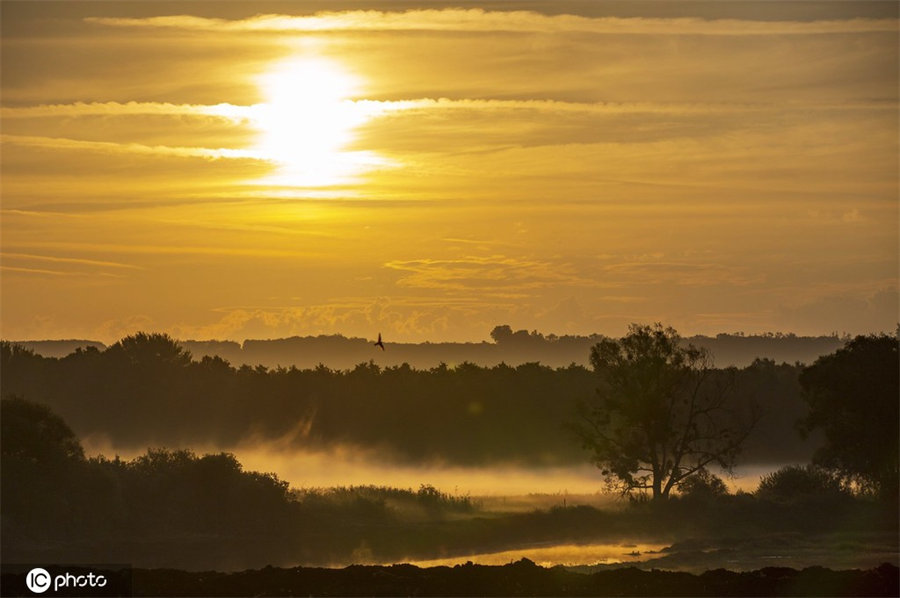 IC photo(qun)ƷՈD(zhun)d