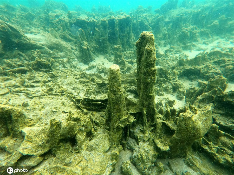 ICPhoto(qun)ƷՈ(qng)D(zhun)d