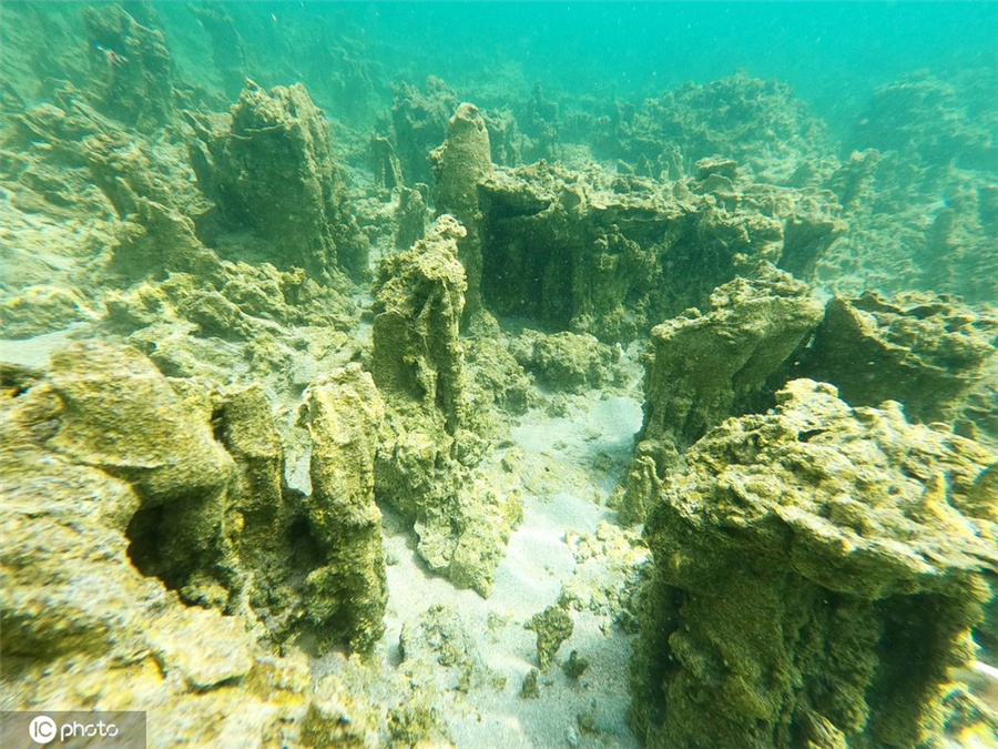 ICPhoto(qun)ƷՈ(qng)D(zhun)d