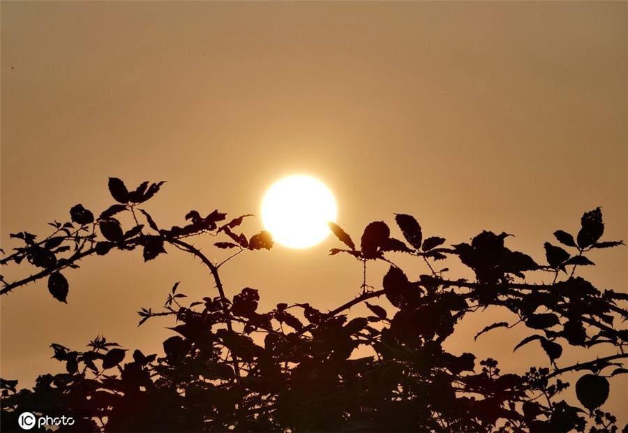 ICPhoto(qun)ƷՈD(zhun)d