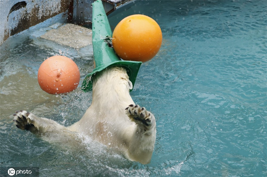 ICPhoto(qun)ƷՈ(qng)D(zhun)d