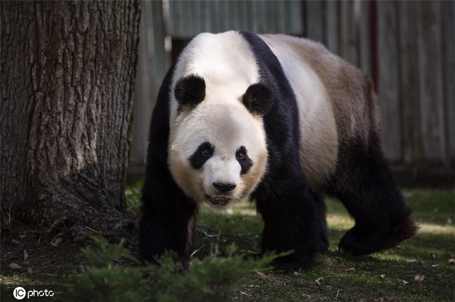 ICPhoto(qun)ƷՈ(qng)D(zhun)d