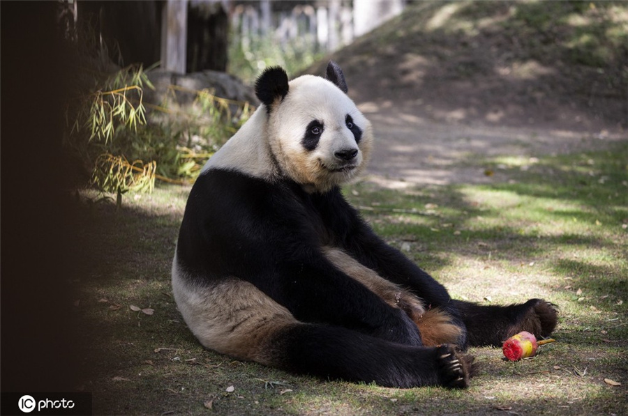 ICPhoto(qun)ƷՈ(qng)D(zhun)d