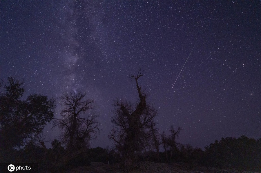 812賿½젖ջr(nng)һwǄ^ҹcyӡͬICPhoto(qun)ƷՈD(zhun)d