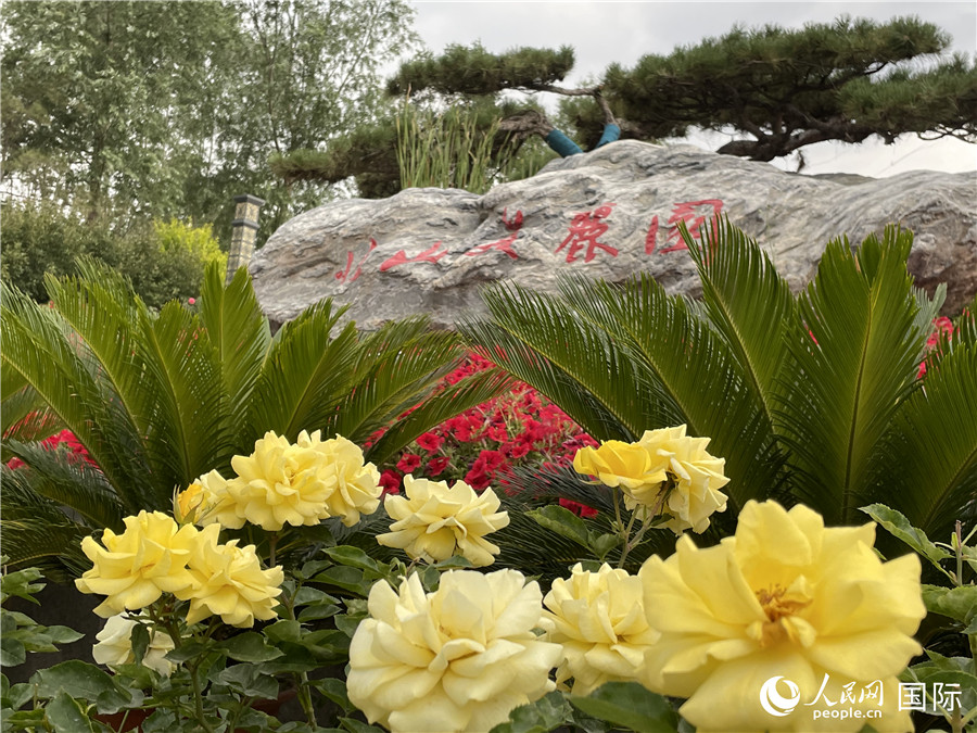 ɽ@ʢ_rW(wng) xz