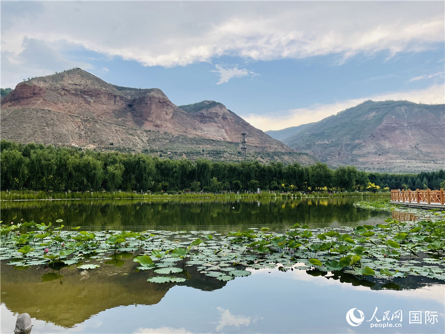 ɽ@(ni)ɻcȺɽӰW(wng) xz