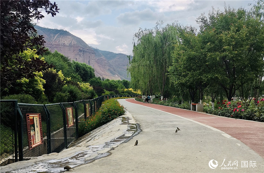 ɽ@(ni)СͣСBW(wng) ٻz