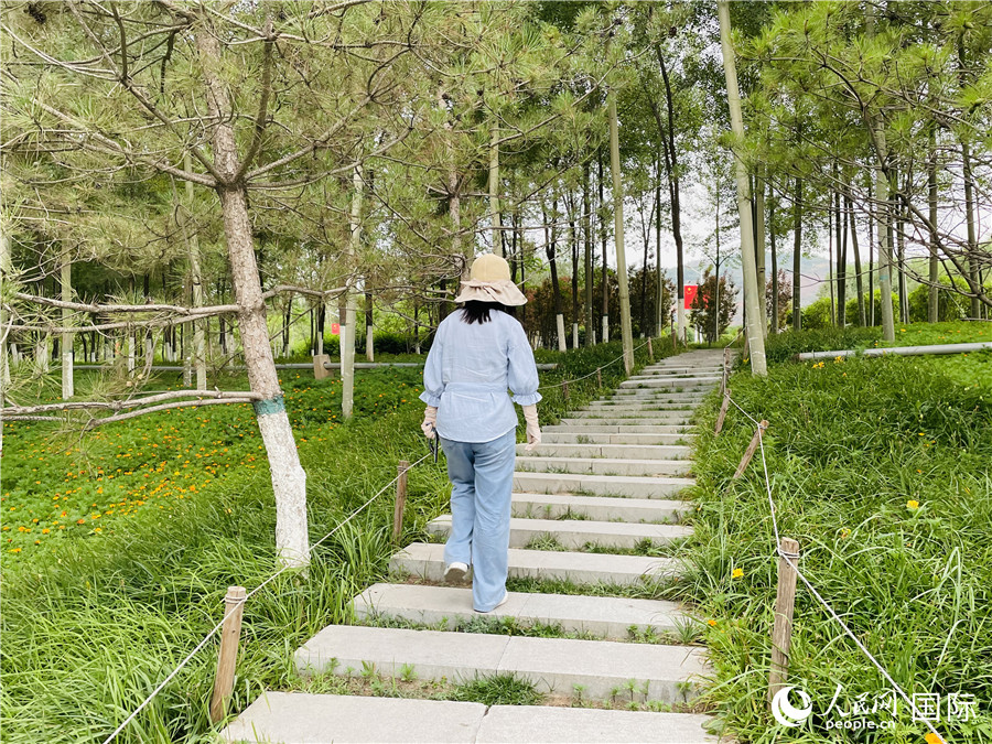 ɽ@(ni)οСW(wng) xz