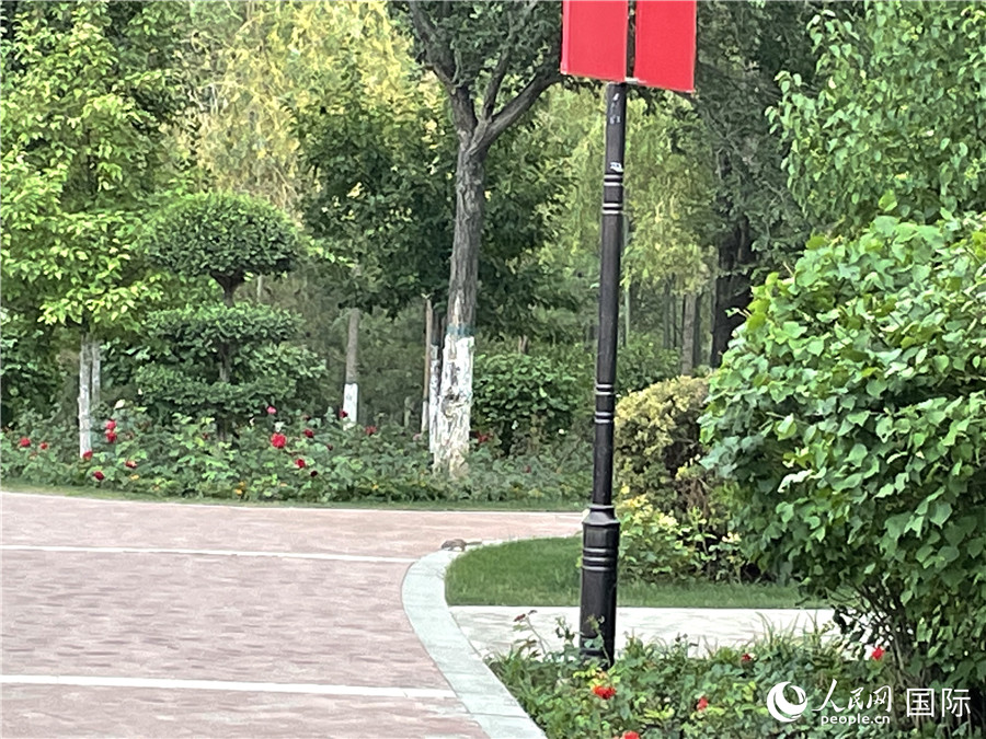 ɽ@(ni)һֻСС·ϴ^(gu)W(wng) xz